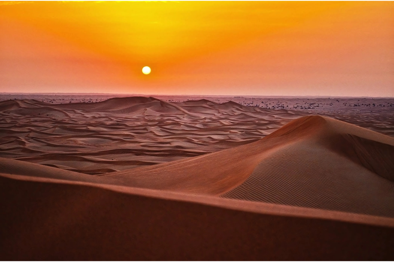 Sand Dunes Adventure